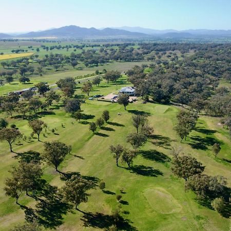 Quirindi Sunflower Motor Inn Екстериор снимка