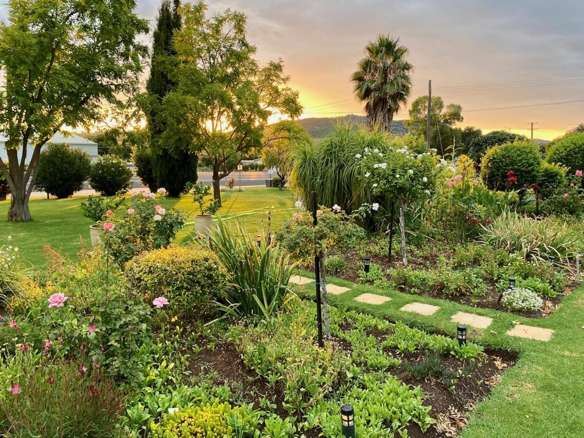 Quirindi Sunflower Motor Inn Екстериор снимка
