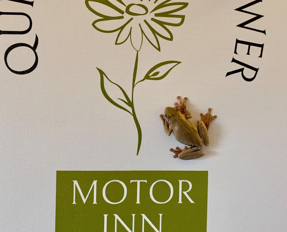 Quirindi Sunflower Motor Inn Екстериор снимка