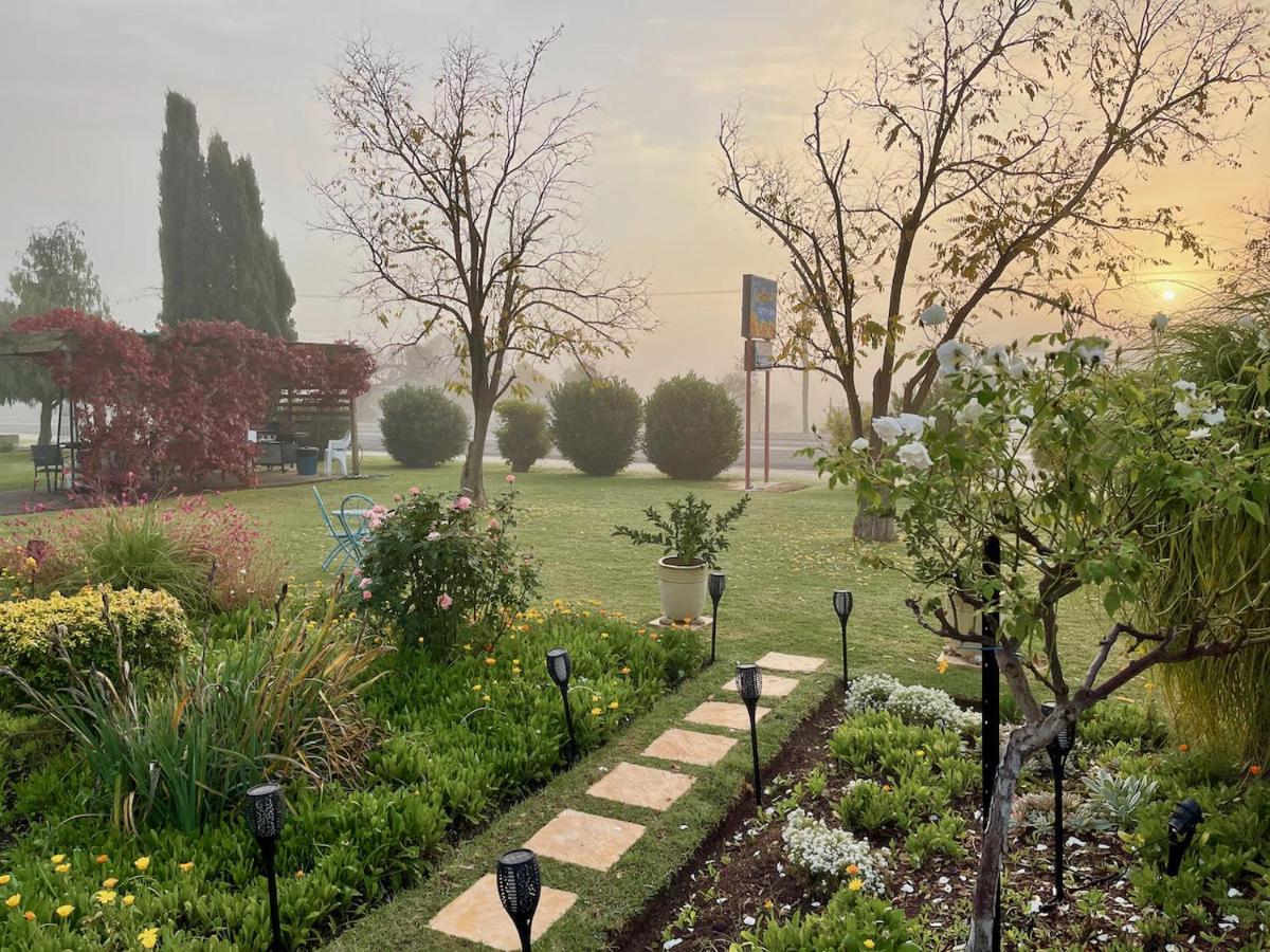 Quirindi Sunflower Motor Inn Екстериор снимка