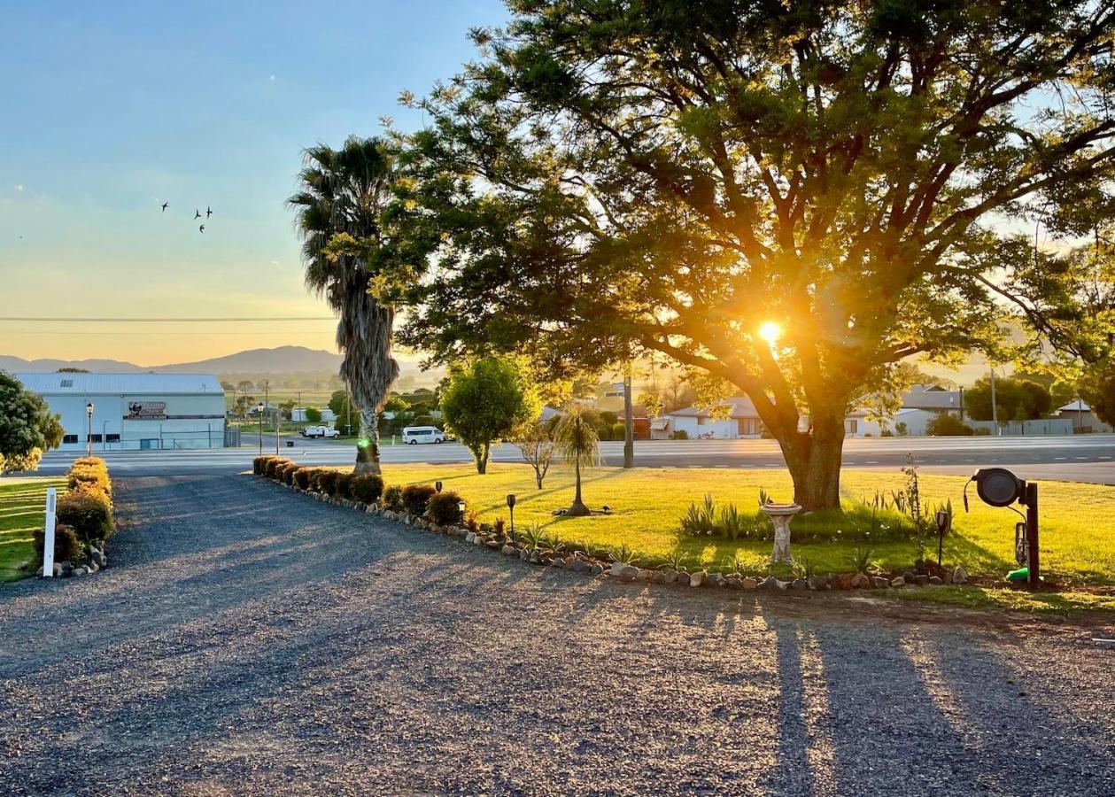 Quirindi Sunflower Motor Inn Екстериор снимка