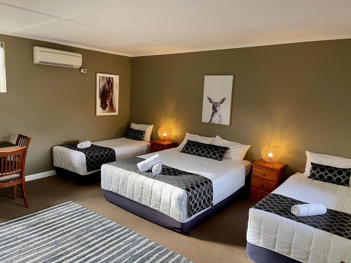 Quirindi Sunflower Motor Inn Екстериор снимка