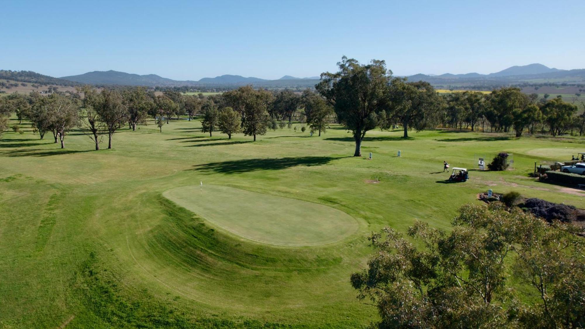 Quirindi Sunflower Motor Inn Екстериор снимка